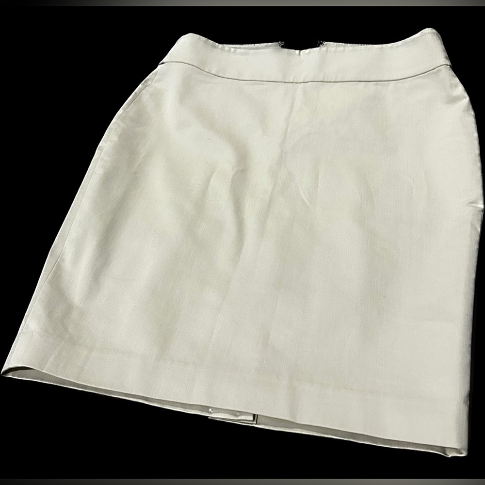 Ann Taylor skirt
